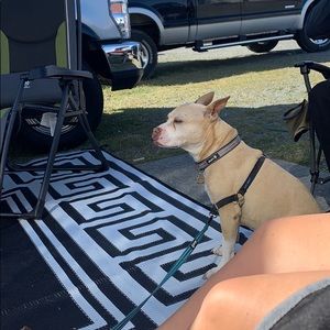 Meet your Posher, Kara